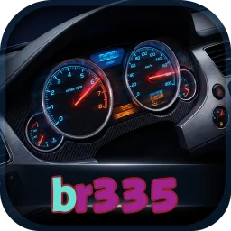 br335